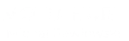 MOTO-HURT - logo